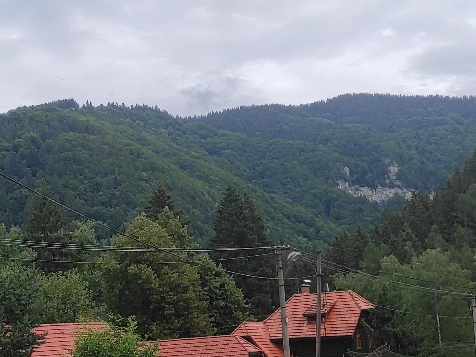 Penzion Smrekovica Ружомберок Экстерьер фото
